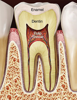 Root Canal Treatment – Western Slope Dental Center